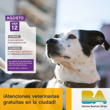 mascotas-de-la-ciudad-12-08-16