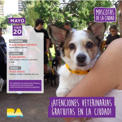 mascotas-de-la-ciudad-20-05-16